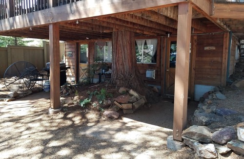 Peninsula Village Apartment | Charming Lakefront Studio Cabin w/Private Boat Launch & Slip Ideal for 2 Guests