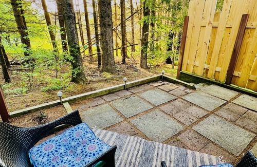 Canaan Valley Cabin | Charming Loft Cabin - Best Location Davis, Thomas, Canaan Valley. Cold AC