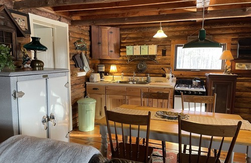 Great Valley Cabin | Charming Log Cabin on Private Pond Nestled in Woods Near Holiday Valley Resort n