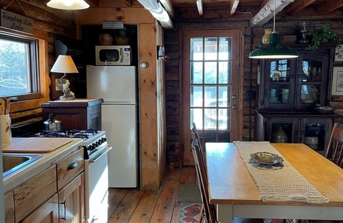 Great Valley Cabin | Charming Log Cabin on Private Pond Nestled in Woods Near Holiday Valley Resort n