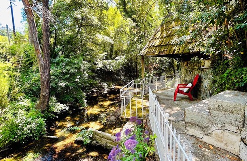 San Anselmo House | Charming Marin County Getaway w/Pool in Ross-Walk to Trails/Downtown San Anselmo