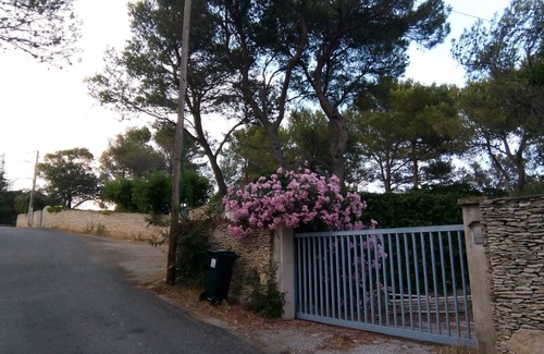 Quartier des Espesses House | Charming Mazet with large pool in sought after area, quiet and landscaped