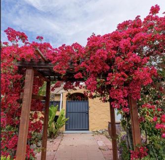 San Jose House | Charming Modern House With Botanic Garden