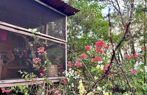 San Pedro Pochutla Cabin | Charming ocean-view cabin