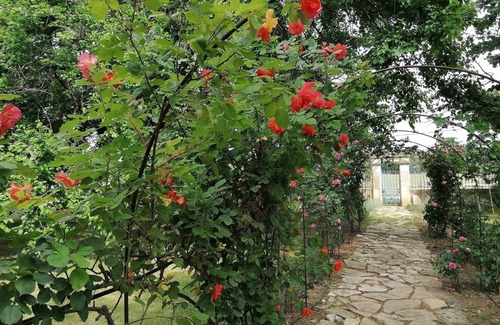 Brue-Auriac House | Charming old country house (70m2) for 2 to 4 persons
