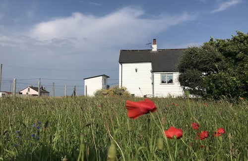 Dungeness Cottage | Charming original fisherman’s cottage on Dungeness Beach