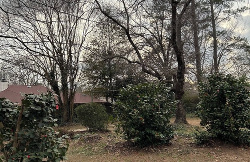 Warner Robins House | Charming, peaceful & spacious 3/2 house with sunroom, WiFi, AC in Warner Robins