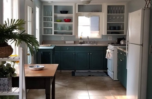 North Central House | Charming/Private Home on Deodar Pine-lined St.