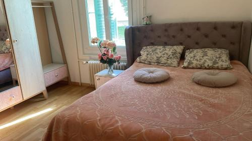 Lancy House | Charming Private Room