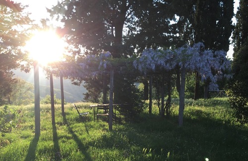Scheggia Apartment | Charming recently renovated Apt 3bd/2bt in Tuscan countryside w shared pool