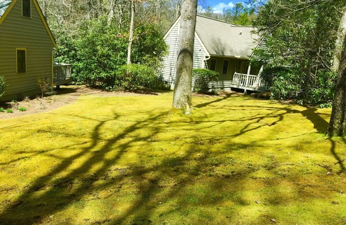 Sapphire House | CHARMING RUSTIC MODERN CLEAN PRIVATE RELAXING & FUN w/Resort Package
