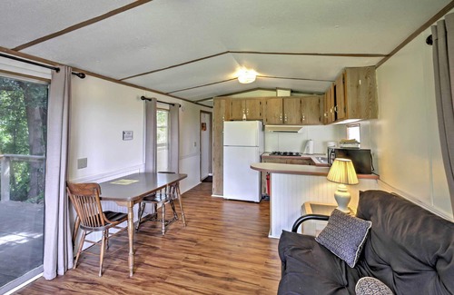 Silver Springs Cabin | Charming Silver Springs Cabin w/Forest Views!