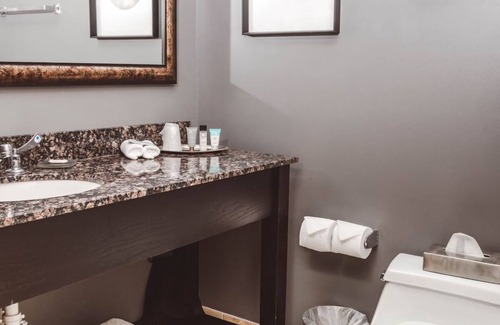Zion Hotel | Charming Stay with Kitchenette l Onsite Library, Gym Access & Garden Firepits