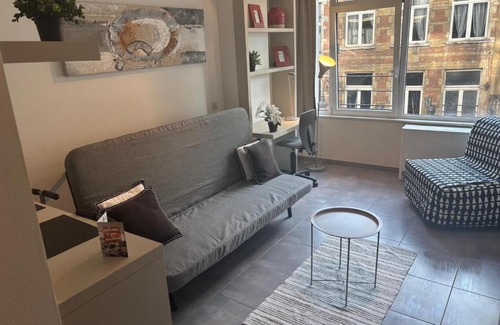 Ilot Sacre Apartment | Charming Studio in Central Brussels - Walk Everywhere!