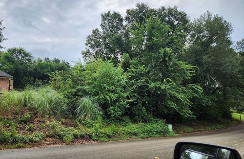 Nacogdoches Apartment | Charming studio in lovely Nacogdoches with AC