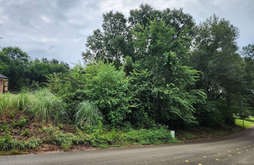 Nacogdoches Apartment | Charming studio in lovely Nacogdoches with AC