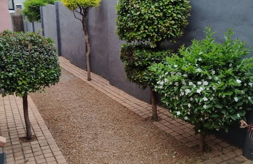 Greater Johannesburg Metropolitan Area Apartment | Charming Studio Oasis in Kensington, Johannesburg