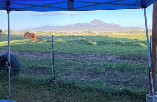 Cortez Apartment | Charming Tiny Home/school bus conversion in marvelous Cortez with WiFi