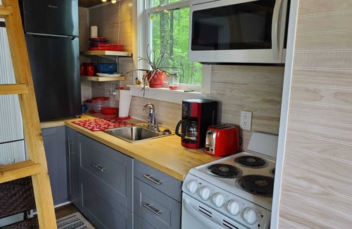 Rumsey Cabin | Charming Treehouse with Lake View and Access