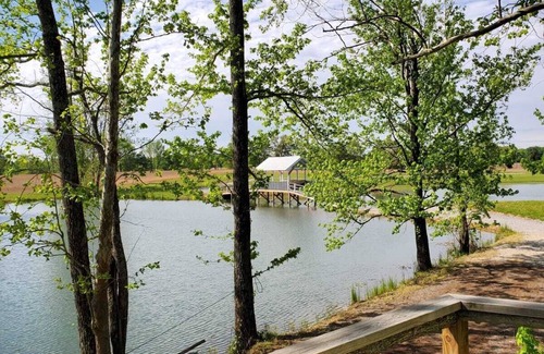 Rumsey Cabin | Charming Treehouse with Lake View and Access