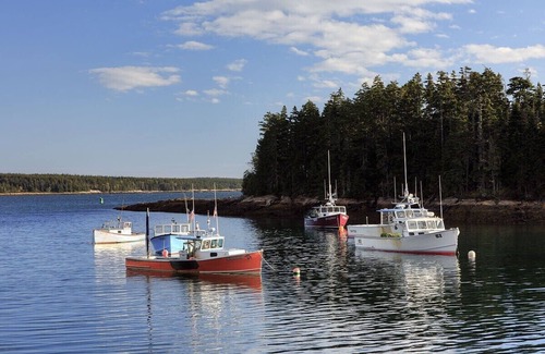 Winter Harbor Apartment | Charming Two Bedroom Apt in Coastal Village