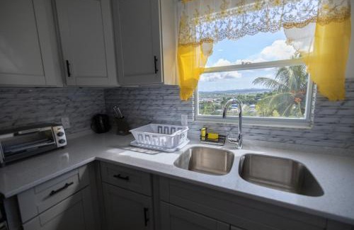 Saint John Parish Apartment | Charming Valley View Studio