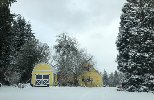 South Colby Cottage | Charming Vashon Island Cottage - Just 3 minutes from the ferry.