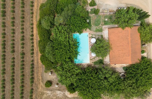 Sassari Villa | Charming Villa set in a beautiful olive groves