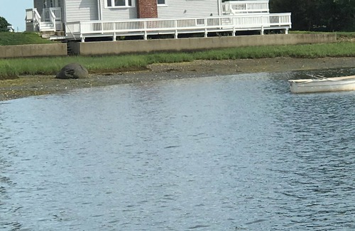 Portsmouth House | Charming waterfront cape on Bluebill Cove