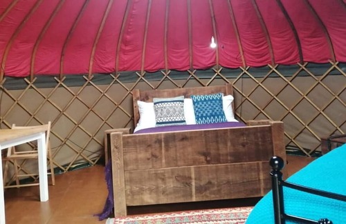Largs Cabin | Charming Yurt in Kelburn Estate near Largs