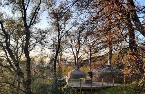 Largs Cabin | Charming Yurt in Kelburn Estate near Largs