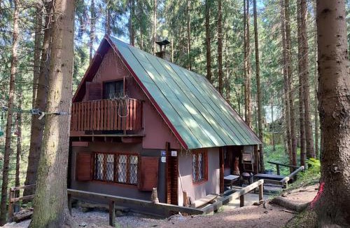 Liptovsky Jan Cabin | Chata Adavy