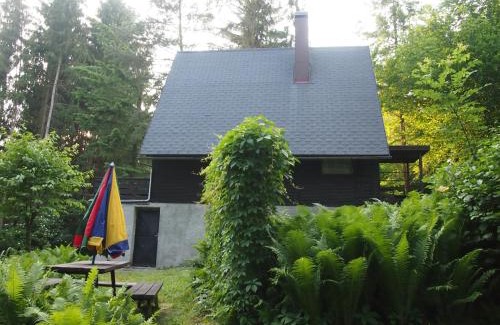 Cesky Dub Ski Chalet | chata Milena
