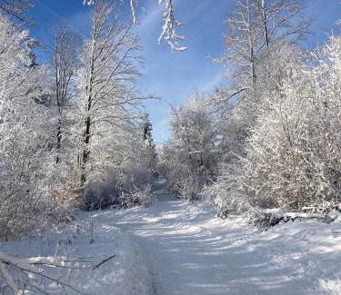 Brezno District Ski Chalet | Chata na Zbojskej