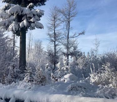 Brezno District Ski Chalet | Chata na Zbojskej