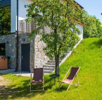 Dolni Morava Ski Chalet | Chata Viola