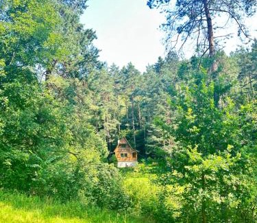 Vselibice Ski Chalet | Chata za dubem
