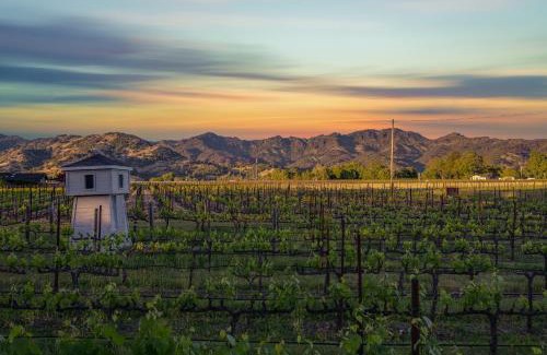 Calistoga Bed & Breakfast | Chateau De Vie
