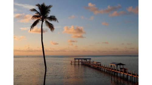Islamorada Resort | Cheeca Lodge & Spa