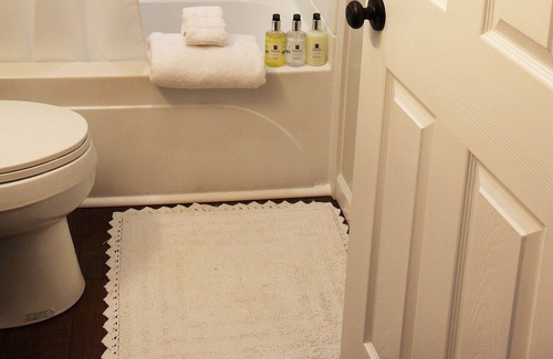 Ann Arbor House | Cheerful home w/Ann Arbor access and village charm