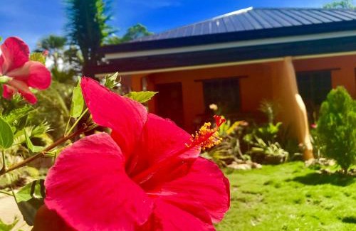San Juan House | Chekesh Casa