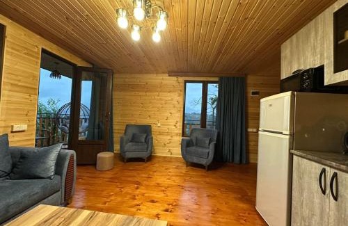 Batumi Villa | chemi kera chalet 2