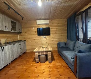 Batumi Villa | chemi kera chalet 2
