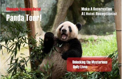 Qingyang Hotel | Chengdu Yueming Hotel,2-minute walk to Zhongba Subway ,close to Kuanzhai Alley and Chunxi Road,Free laundry, Free coffee, Chengdu food,English communication well,Private travel advice