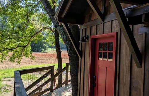 China Grove House | Cherry Treesort "Chico's Hideaway"