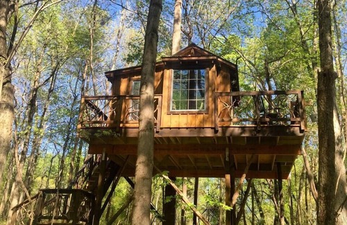 China Grove House | Cherry Treesort "Miss Molly"