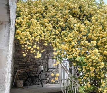 Gras House | Chez l'Oncle