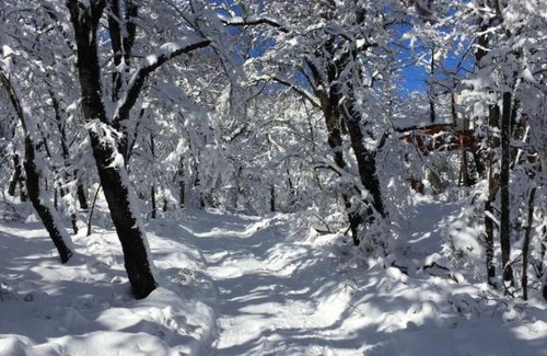 Pinto Ski Chalet | Chillán House