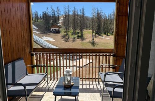 Valberg Apartment | Christiana studios en hyper centre de Valberg aux pieds des pistes