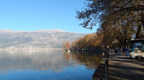 Ioannina Town Centre Apartment | Christine's Golden Suite at Ioannina's Center